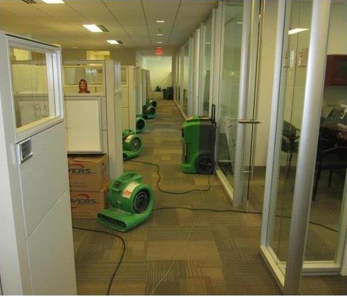 Air movers and dehumidifiers 